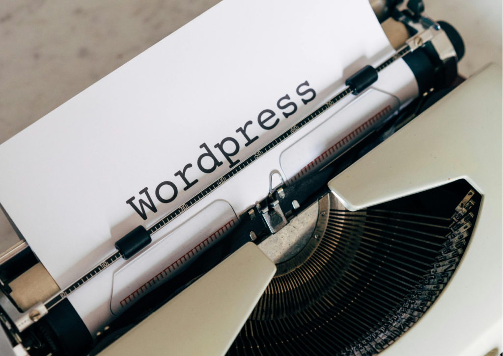 What are speedy WordPress websites?