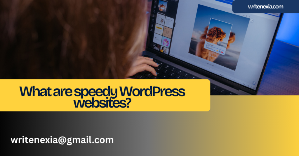 What are speedy WordPress websites?