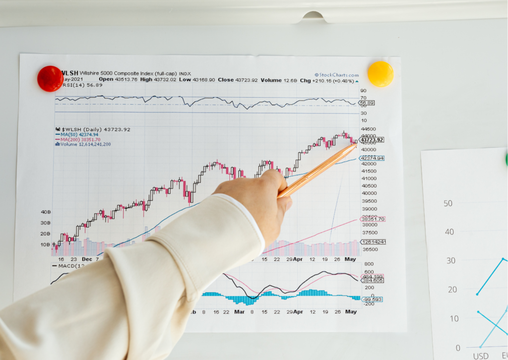 Portfolio ideas for beginners